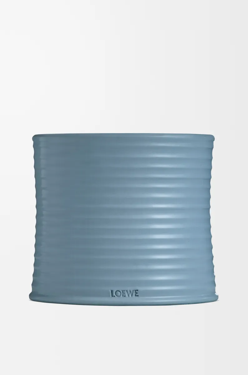 大号柏树果香氛蜡烛