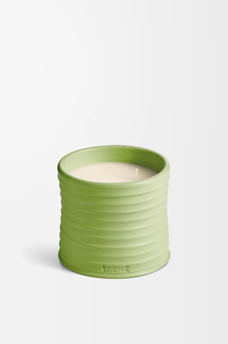 中号黄瓜香氛蜡烛