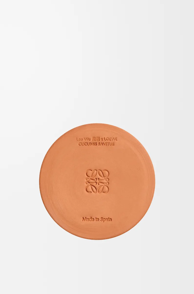 中号黄瓜香氛蜡烛