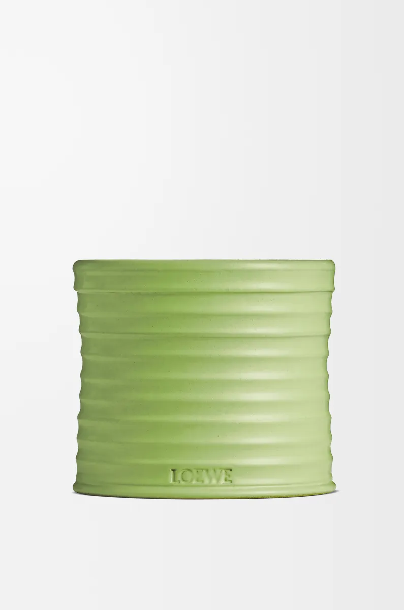 中号黄瓜香氛蜡烛