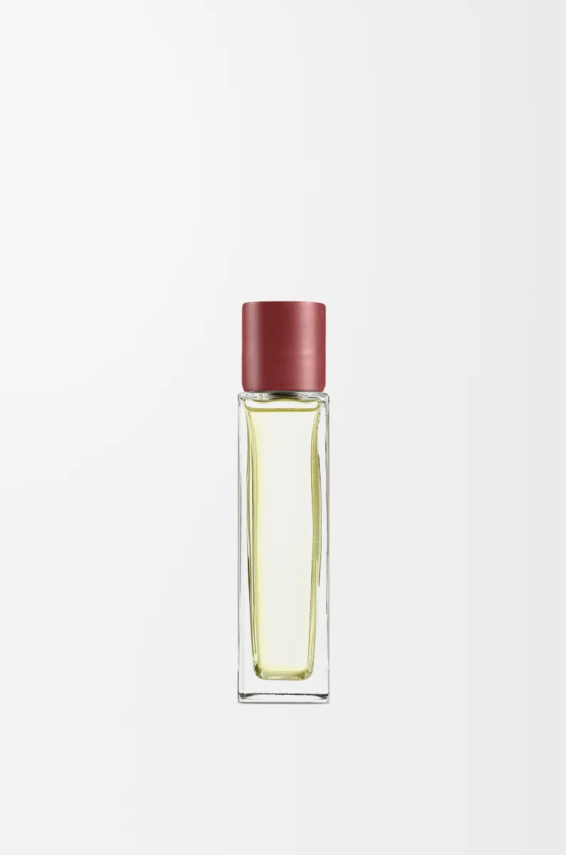 甜菜根家居香氛