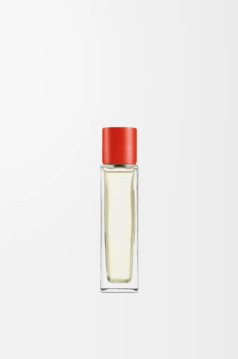 番茄叶家居香氛