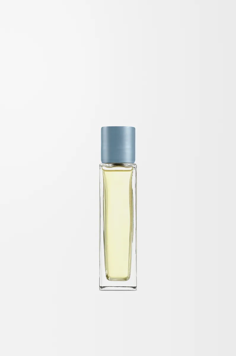 柏树球家居香氛