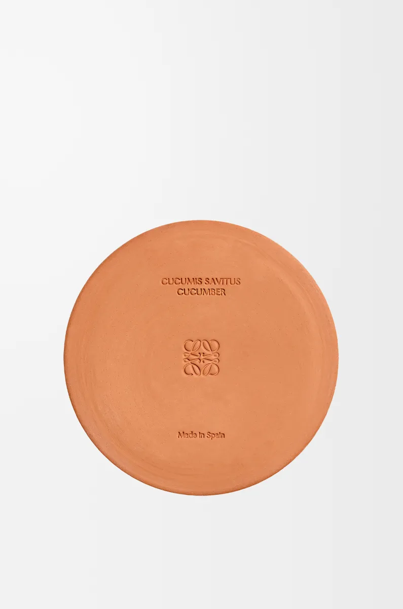 大号黄瓜香氛蜡烛