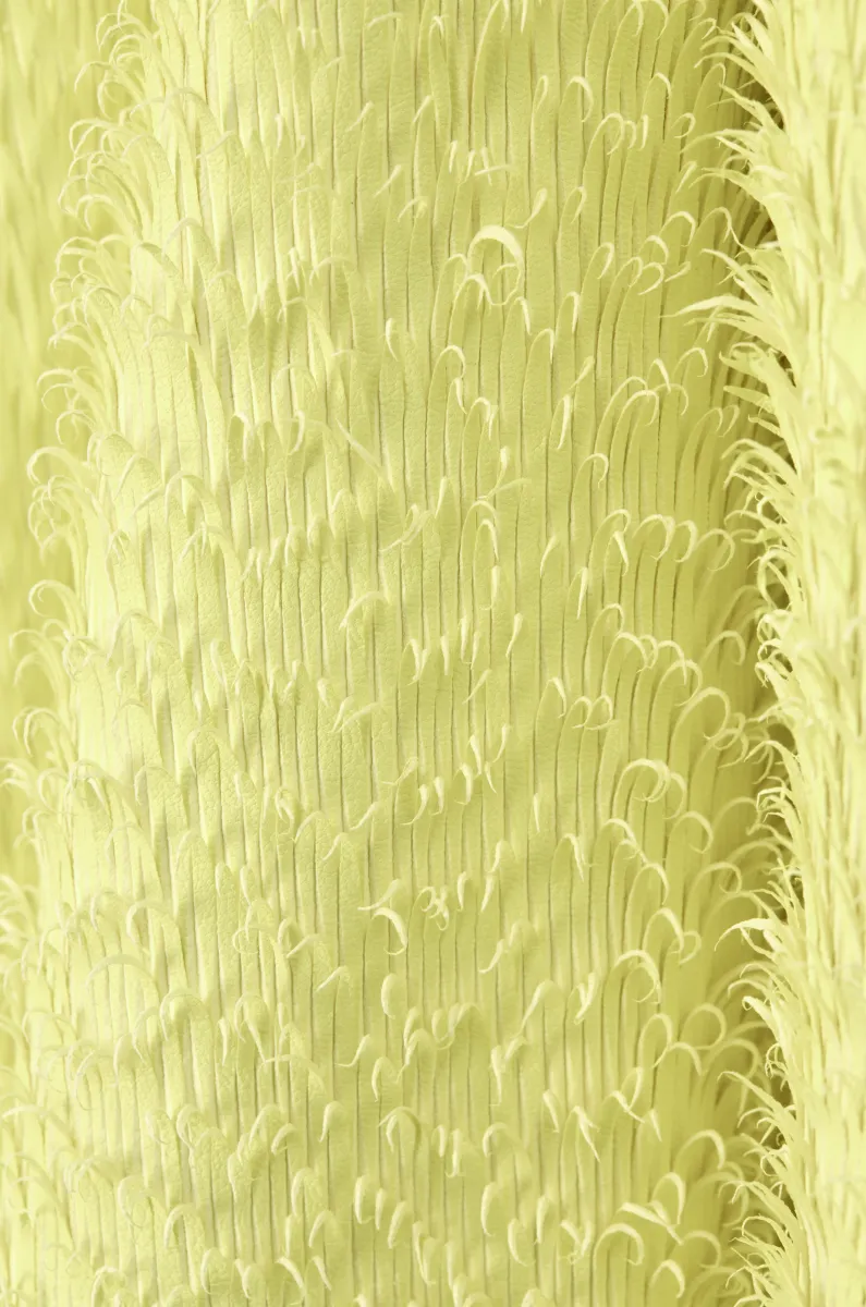 纳帕羊皮革大衣