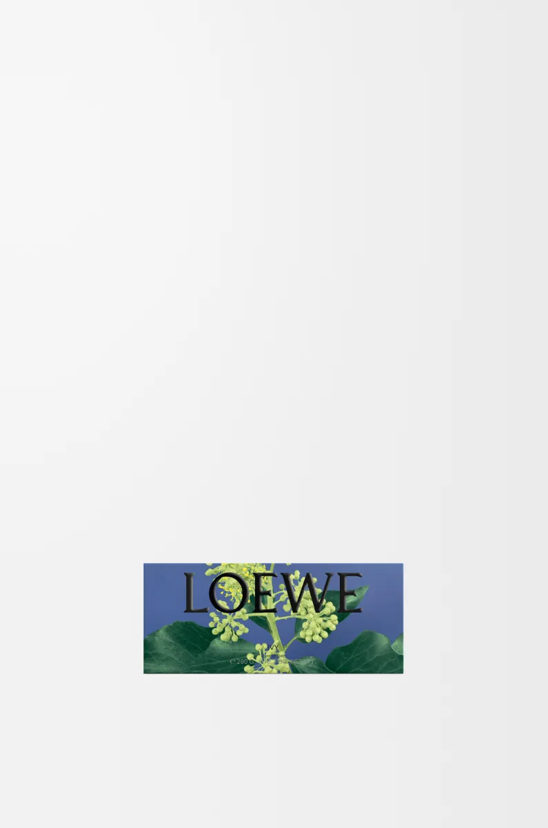 大号常春藤香氛皂