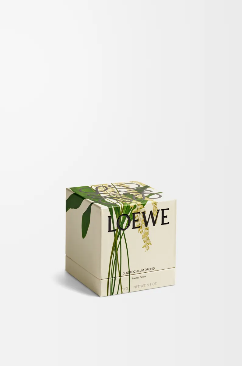 足柱兰香氛蜡烛